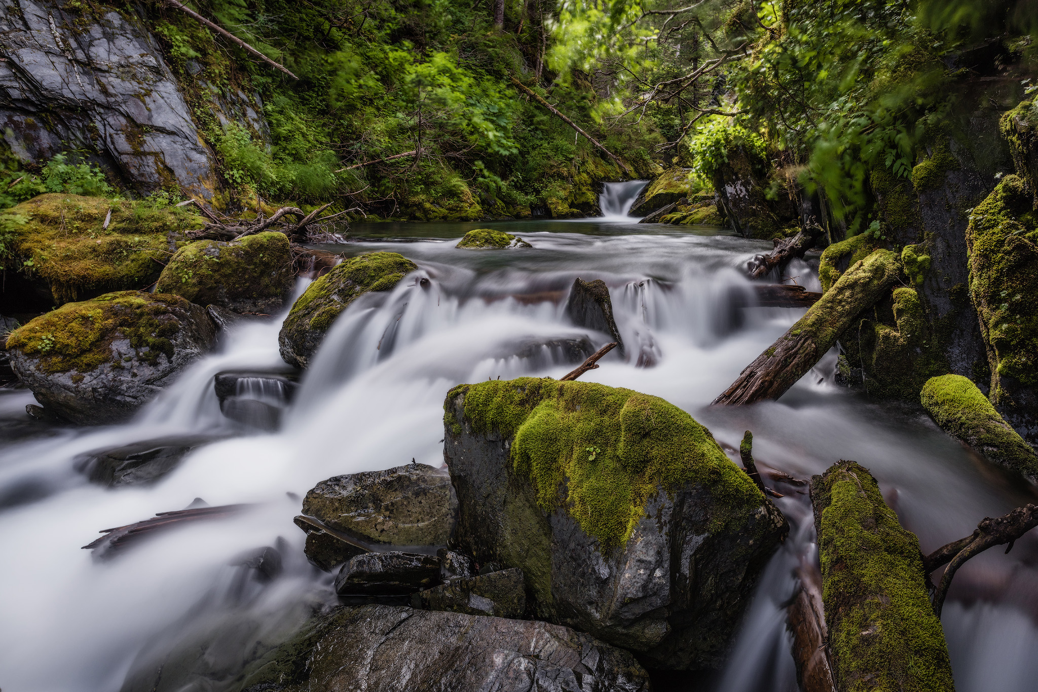 Cove Creek