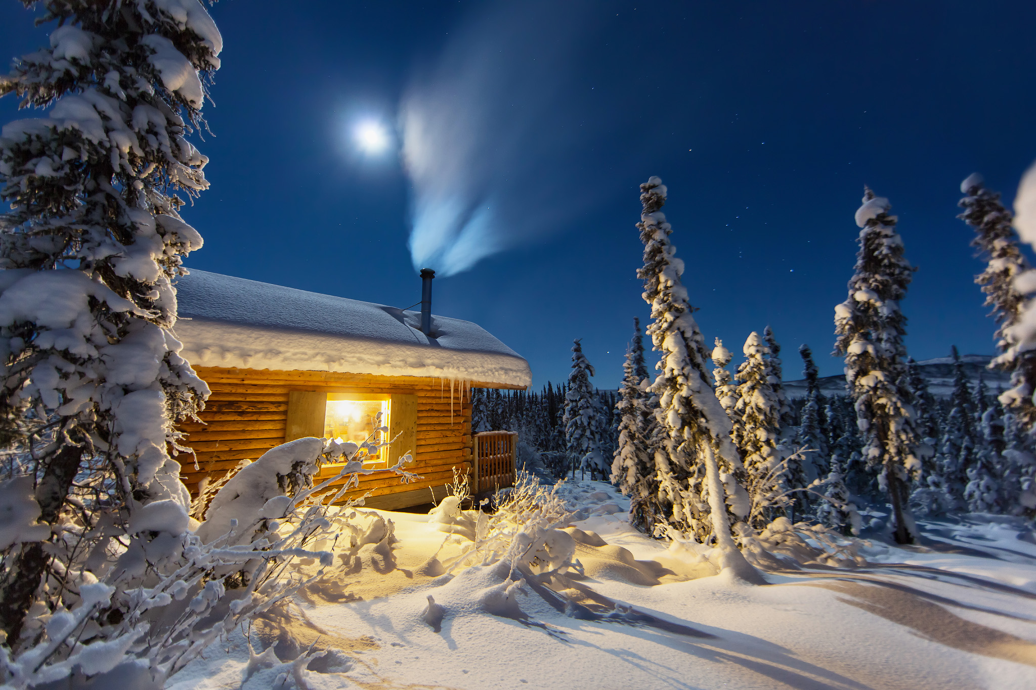 Winter Wonderland