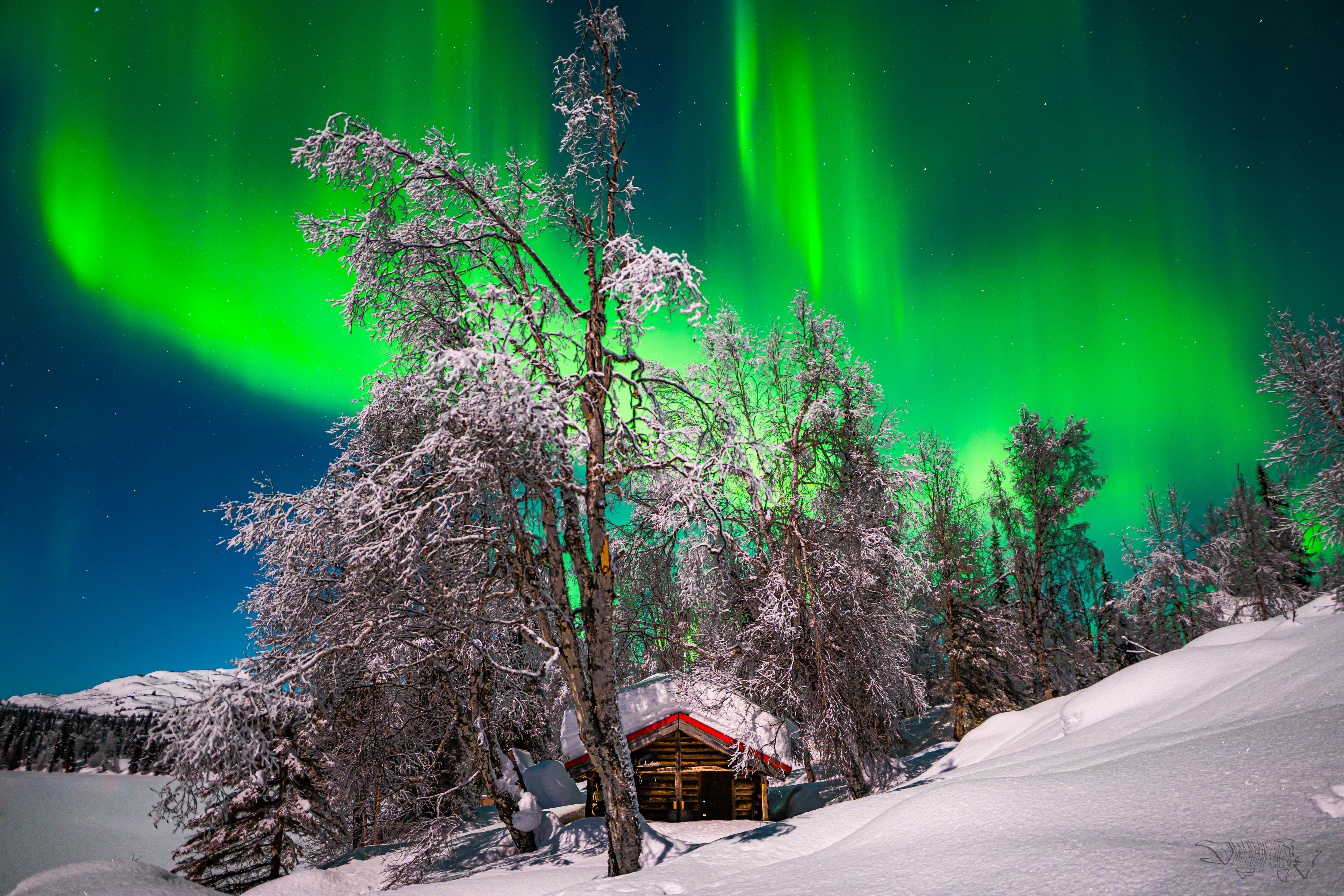 Alaskan Trapper Cabin