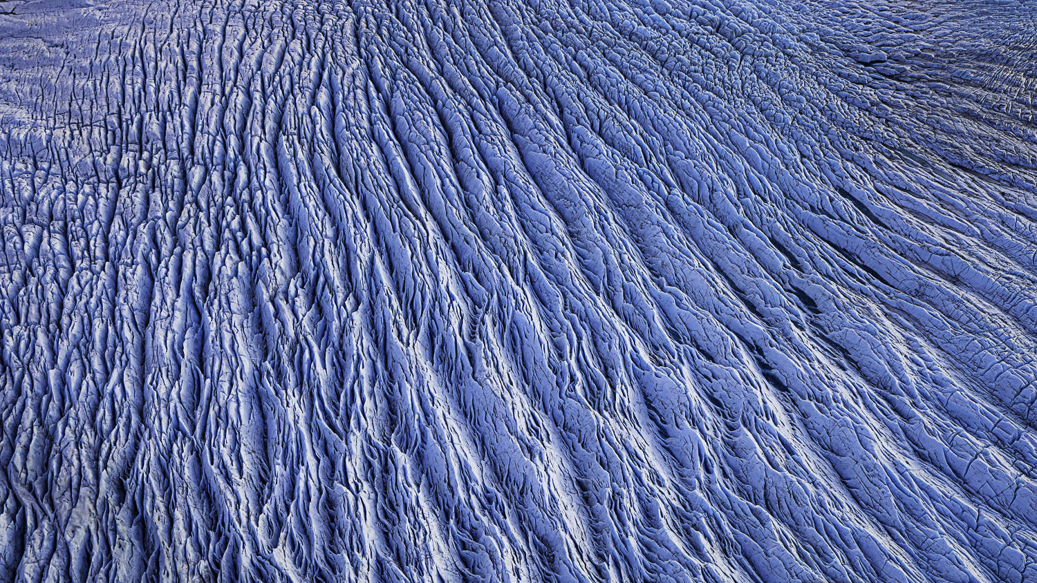 Knik Glacier Veins