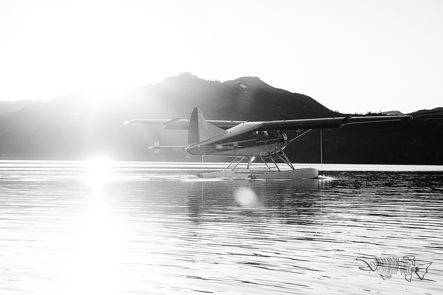 Dehavilland Beaver