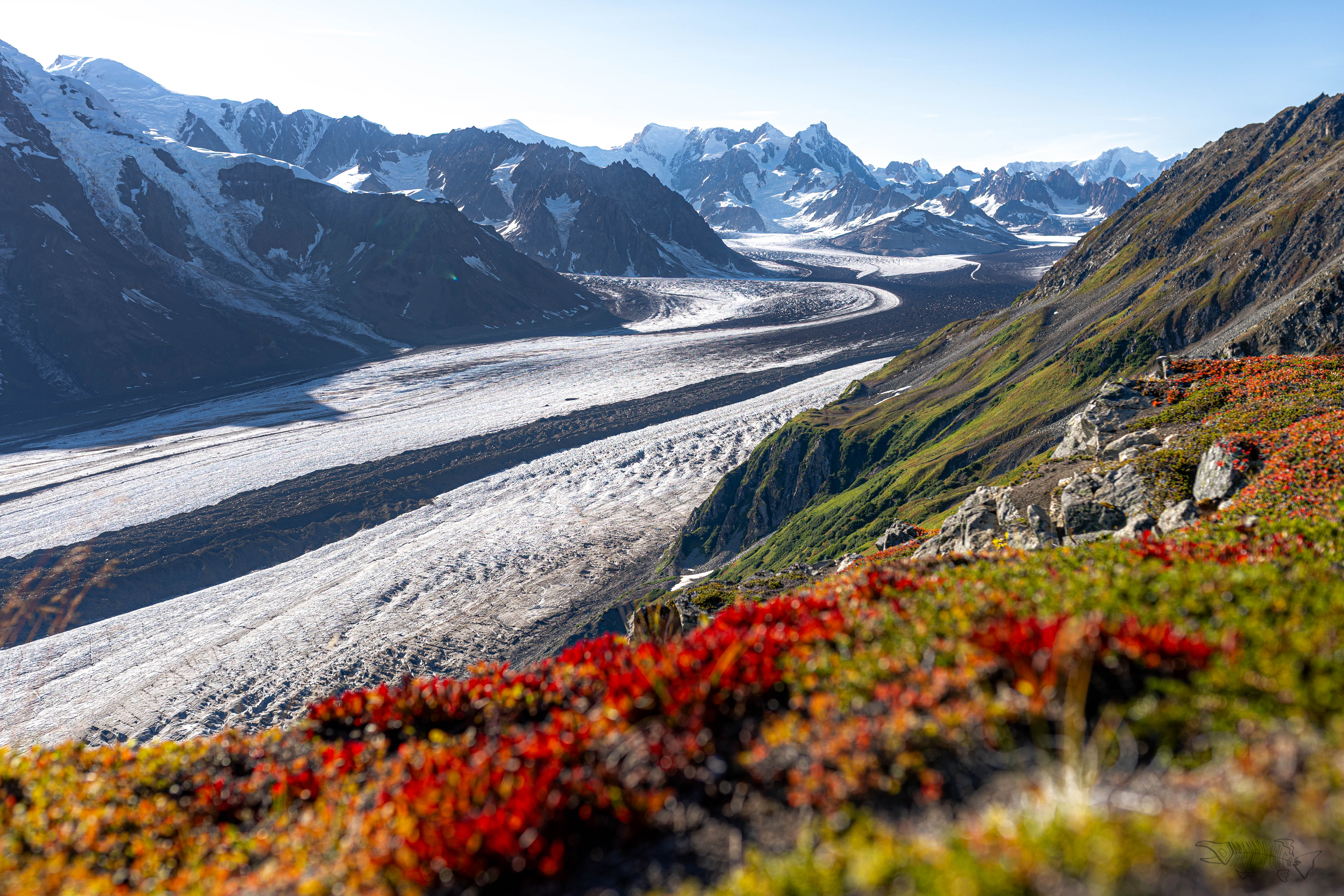 Capps Glacier