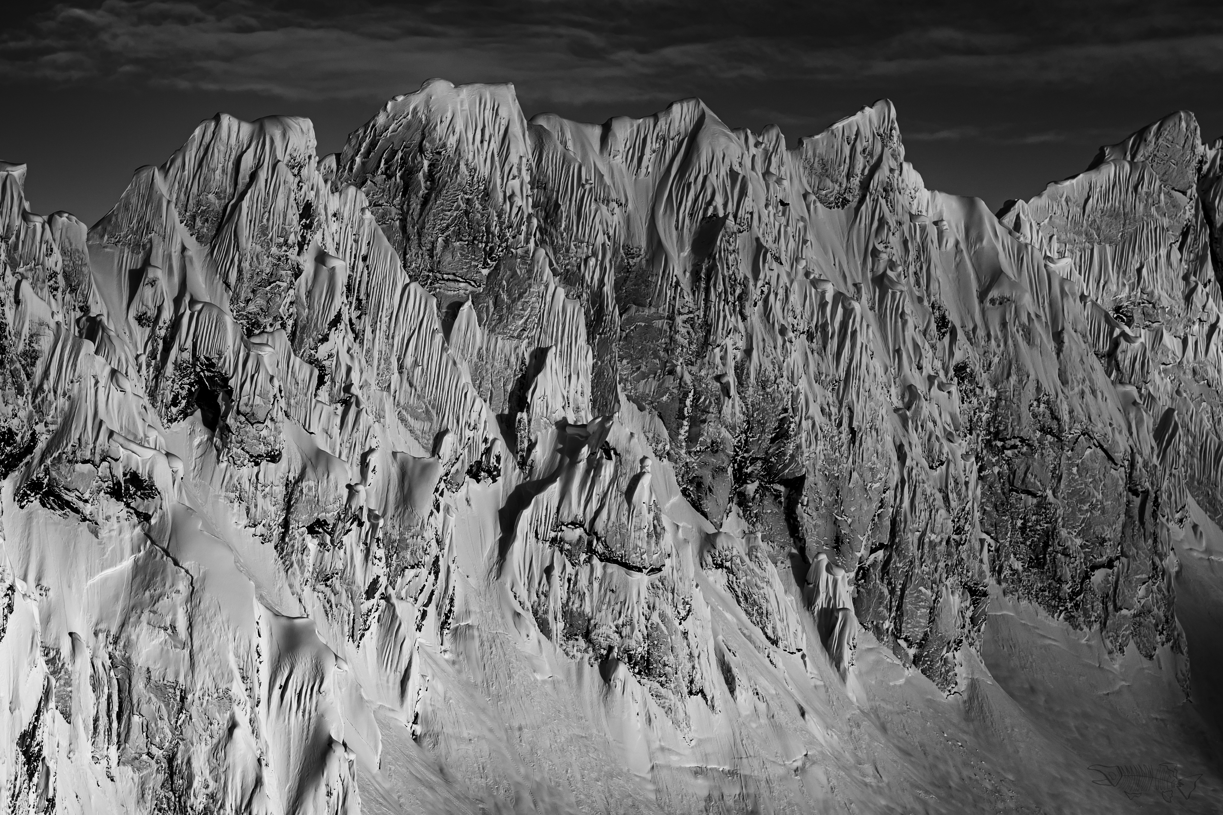 Spine Lines