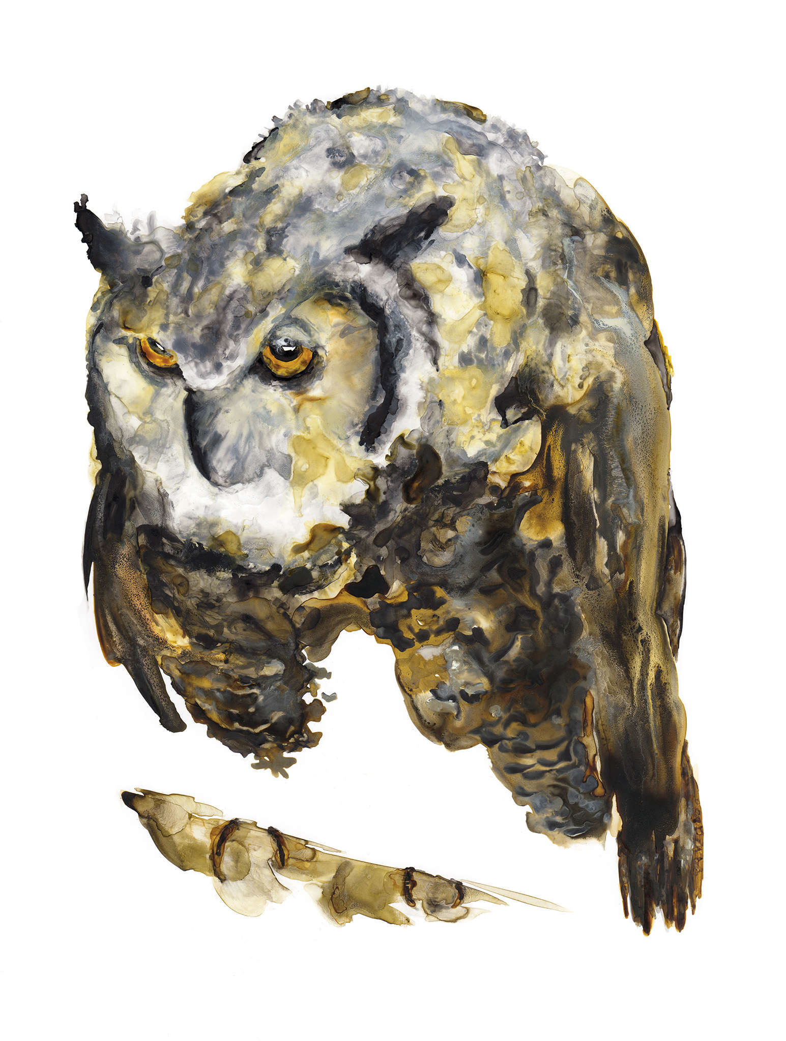 Owltitude