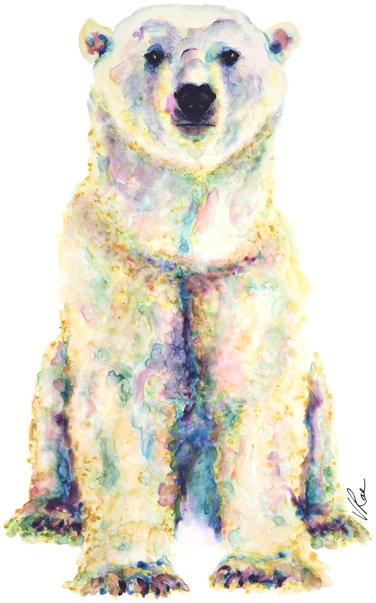 Northern Light