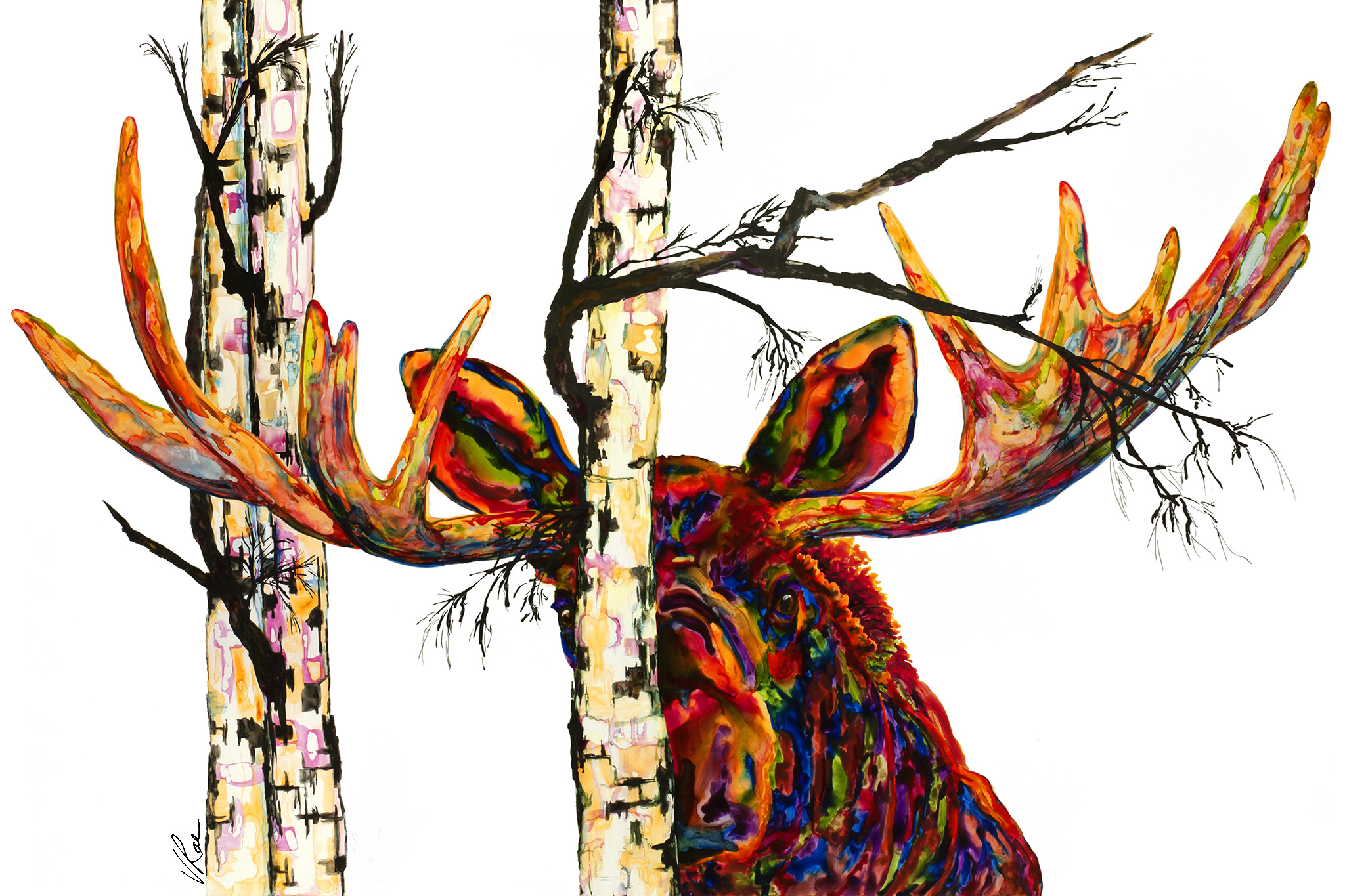 Seymour Moose