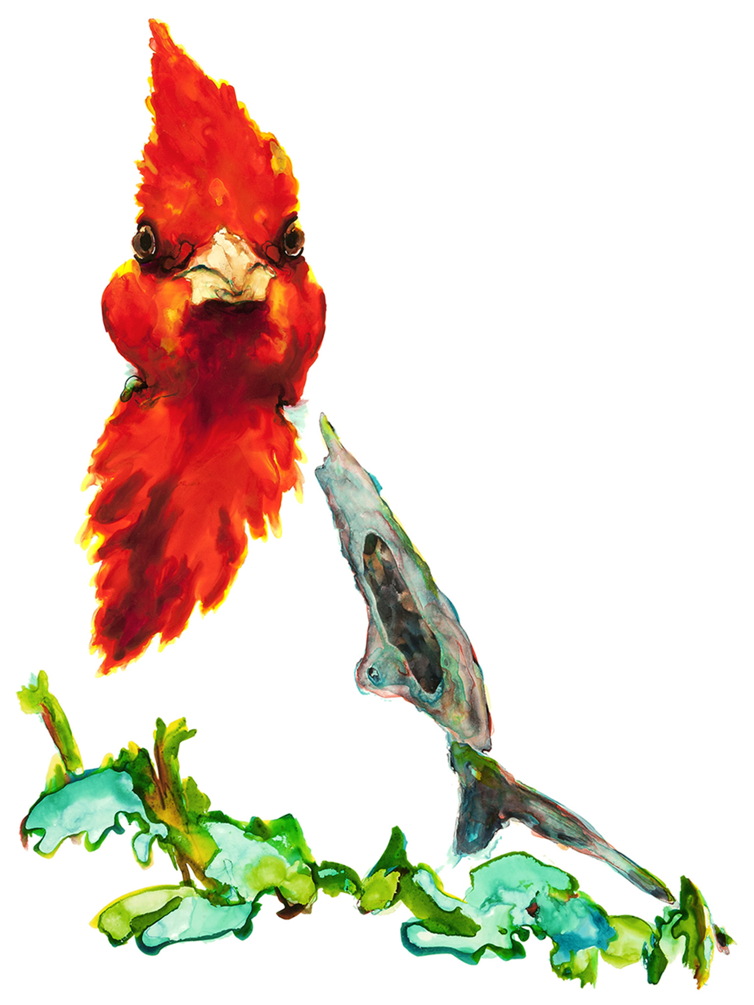 Cardinal Red Crest