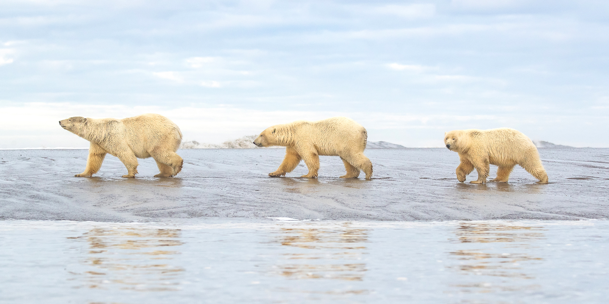 Polar Road