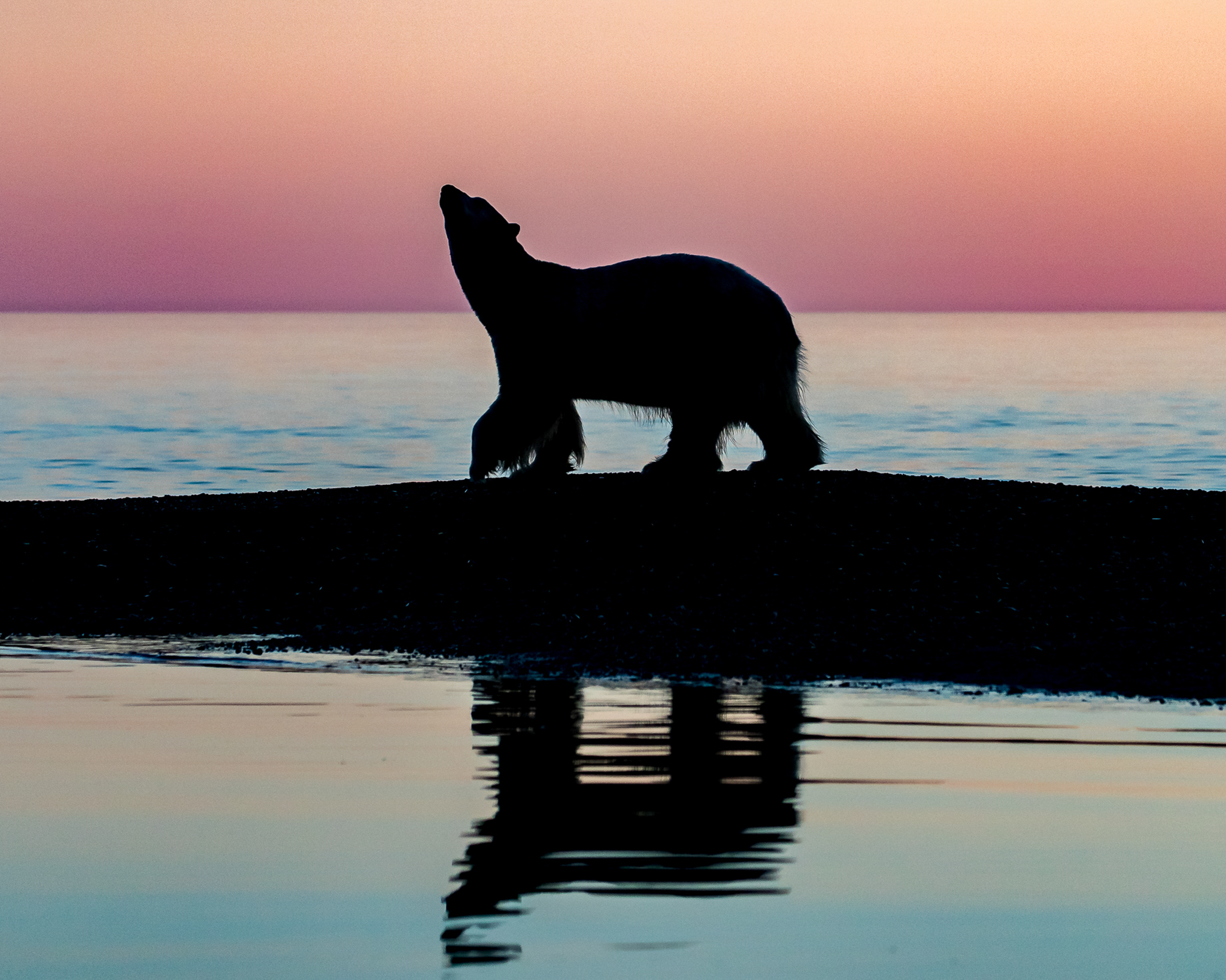 Sunrise Silhouette