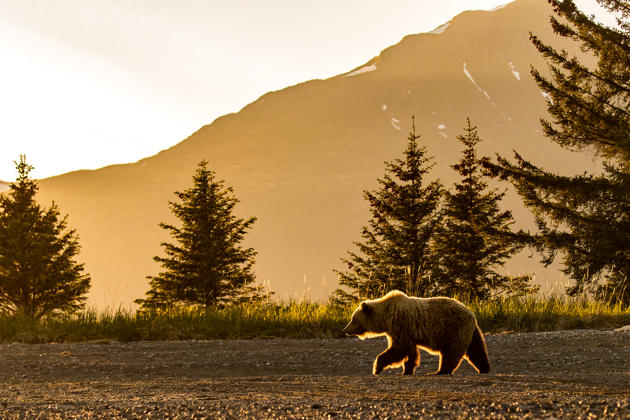 Sunset Stroll