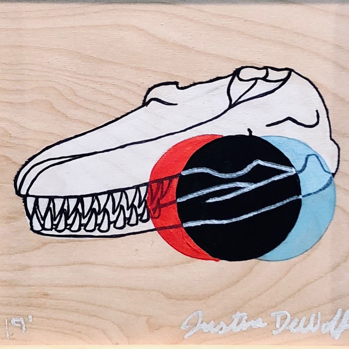 Whale skull
