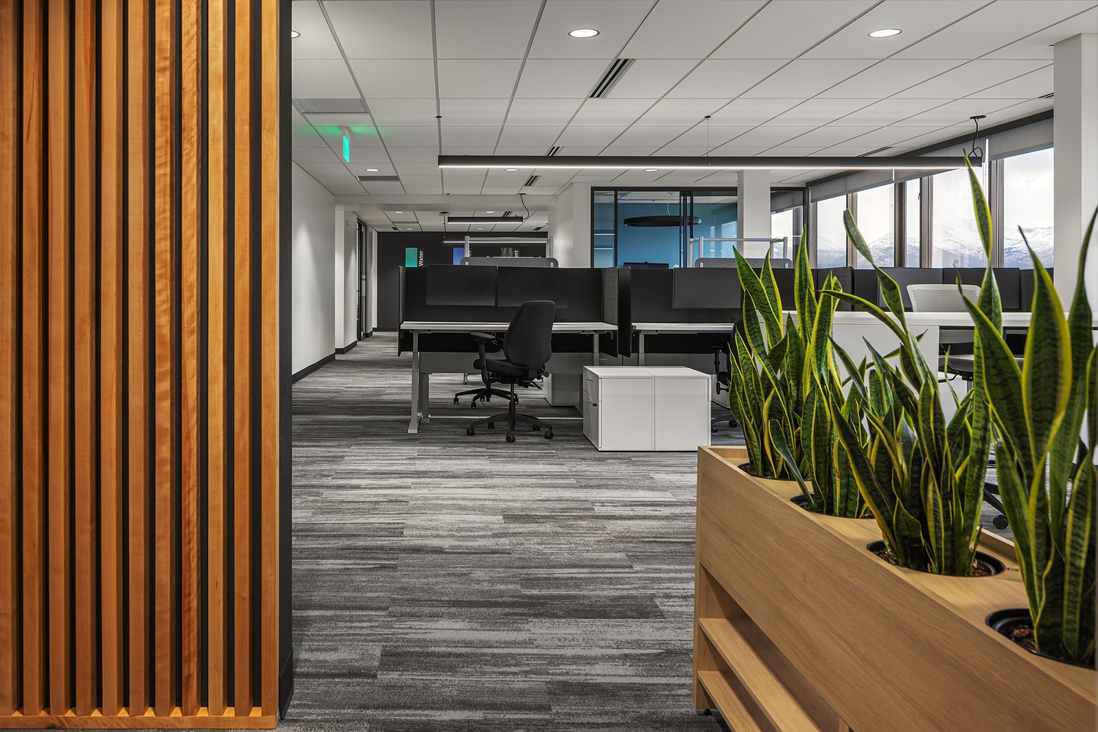 Arch. Commercial, photograph 69 of 211